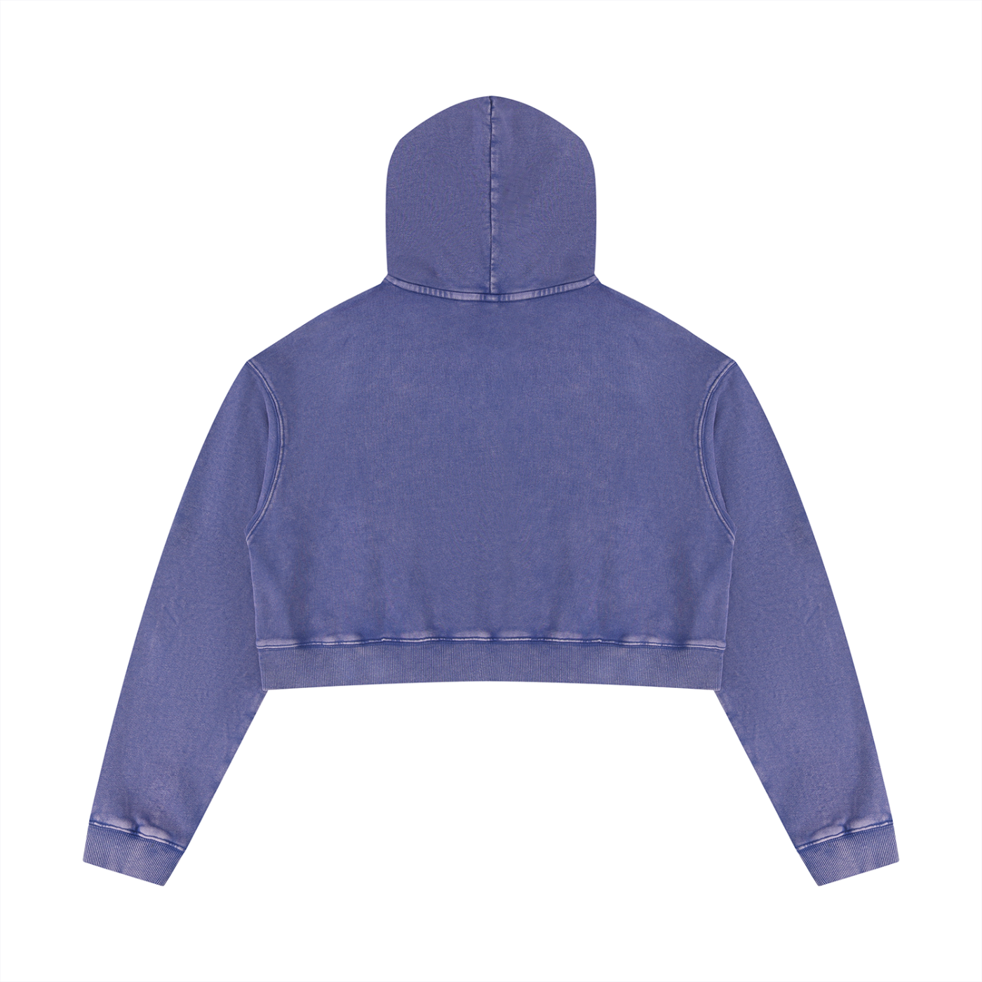 A.MP A Scale Washed Cropped Hoodie — crop detail