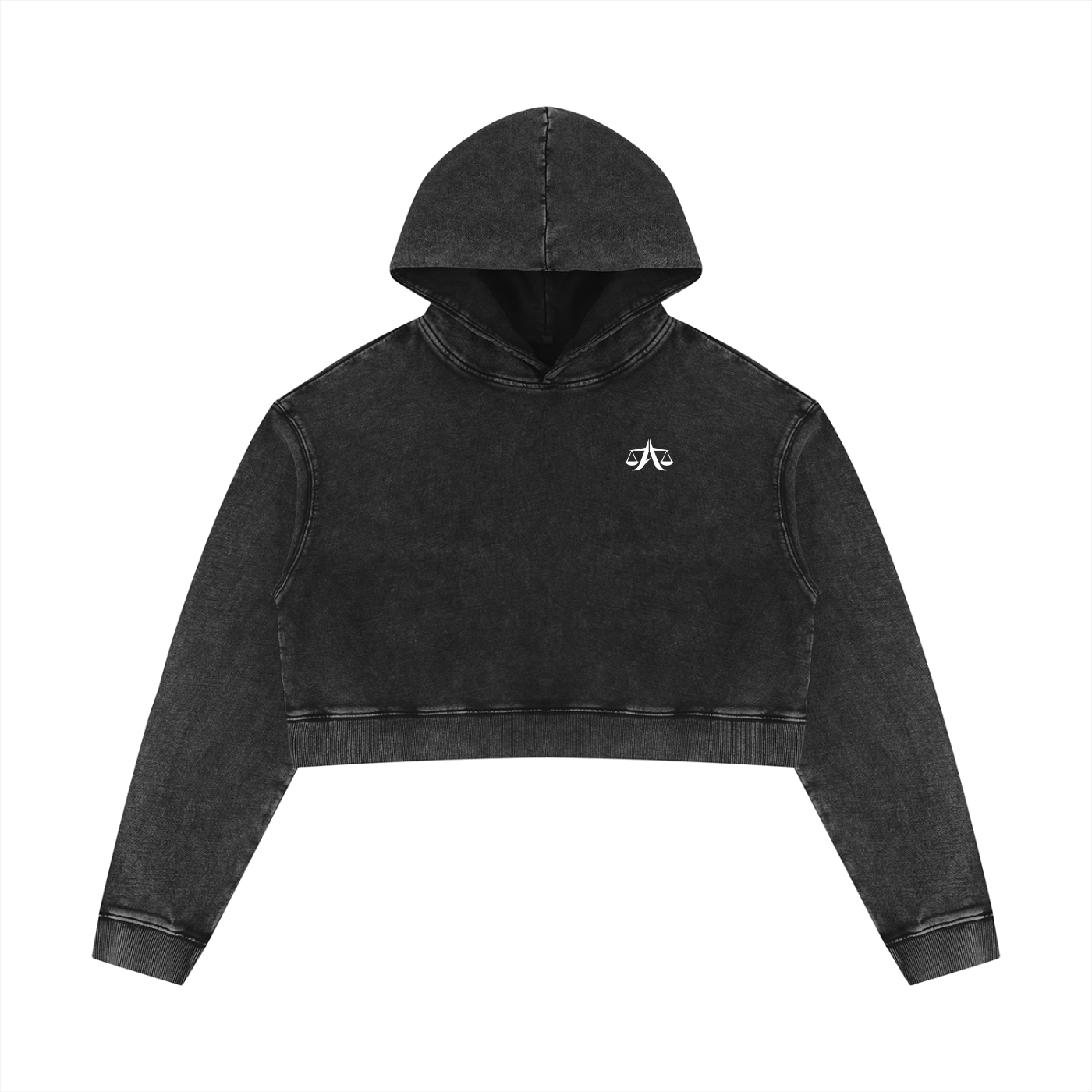 A.MP A Scale Washed Cropped Hoodie — back view